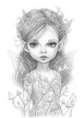 Fairies