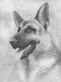 Grayscale Coloring Page, Dog, German shepherd. Bim - The Art of Julia Spiri