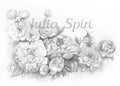 Grayscale Coloring Page, Flowers. Peonies and dragonfly - The Art of Julia Spiri
