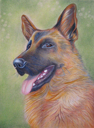 Grayscale Coloring Page, Dog, German shepherd. Bim - The Art of Julia Spiri