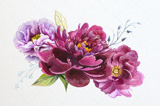 Watercolor Hand Painted Flowers Clip Art. Purple Peonies - The Art of Julia Spiri