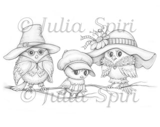 Coloring Page, Whimsy Sparrows: Dad, Mom, Son. Family of Birds