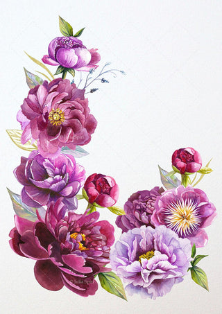 Grayscale Coloring Page, Flowers. Peonies - The Art of Julia Spiri