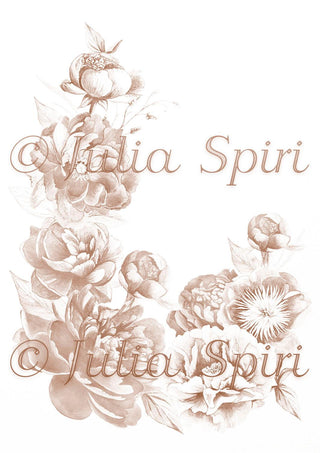 Grayscale Coloring Page, Flowers. Peonies - The Art of Julia Spiri