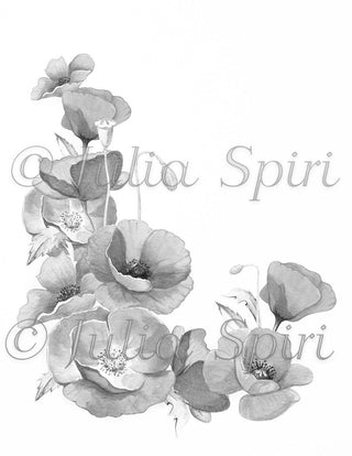 Page de coloriage en niveaux de gris, bouquet de fleurs. Coquelicots