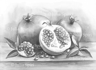 GRAYSCALE Coloring Pages, Digital stamp, Fruit, Still life. Pomegranates - The Art of Julia Spiri